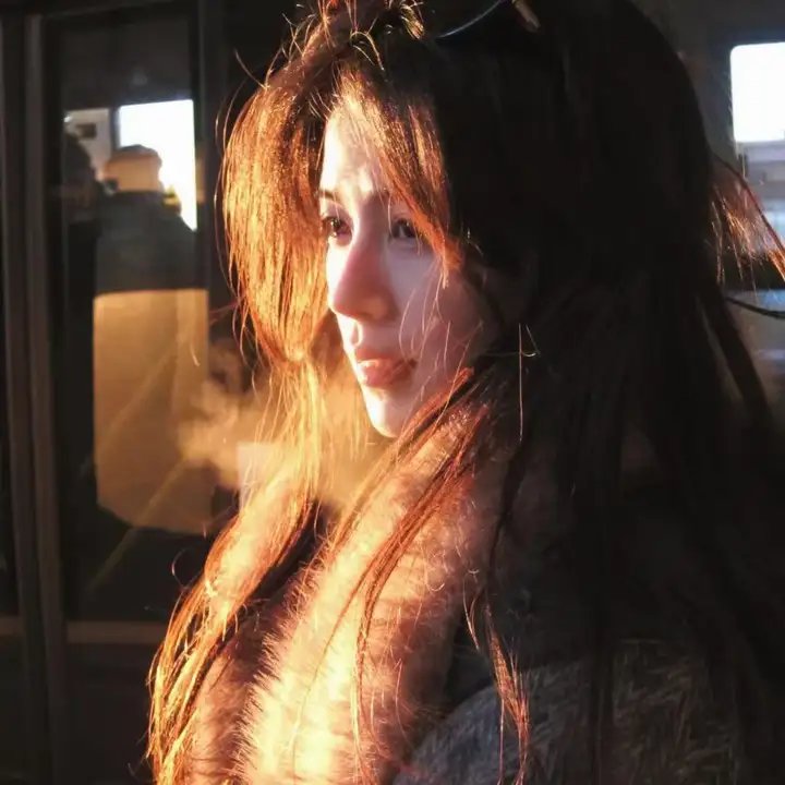 汪星人的奇思妙想
